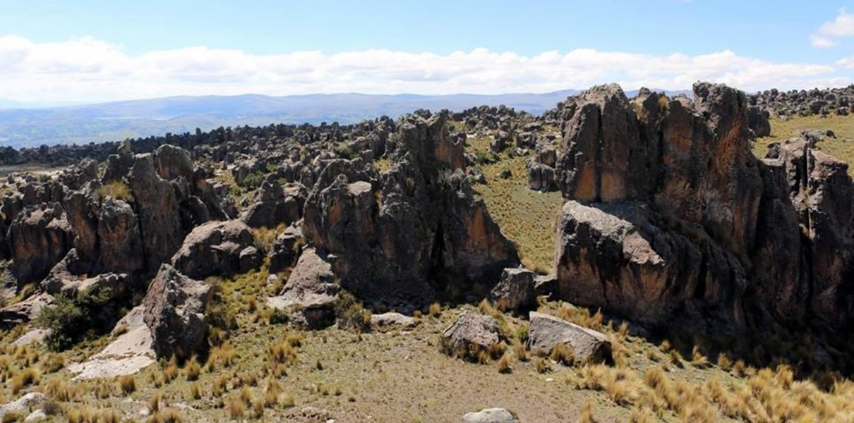 bosque-de-piedra-huaraca1.jpg